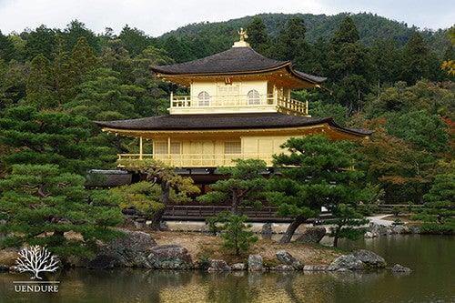 20 Popular Japanese Teas