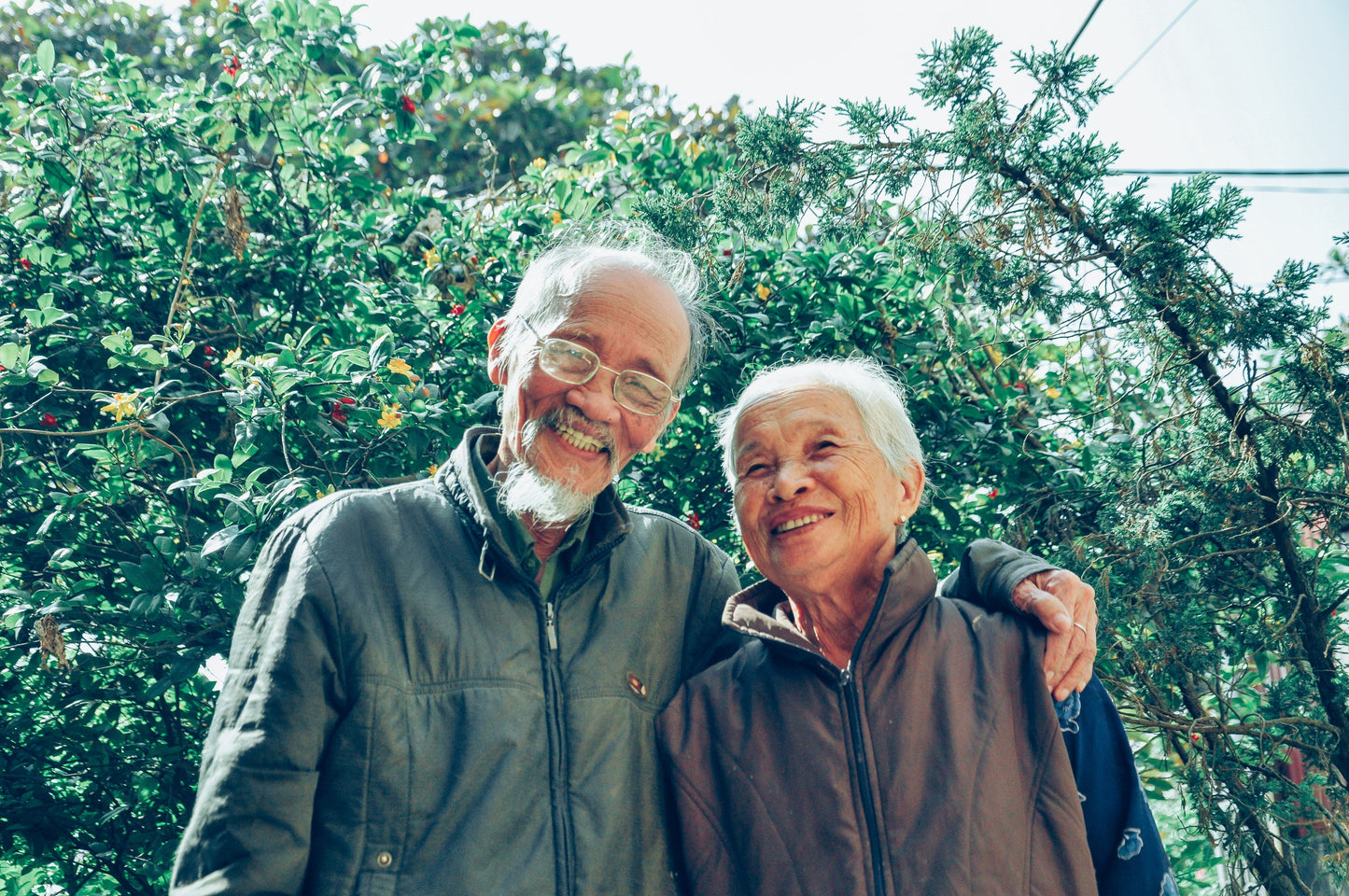Dementia and Alzheimer's - Causes, Symptoms and Hope for Prevention