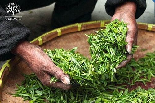 Japanese or Chinese Green Tea - UENDURE TEA CO.