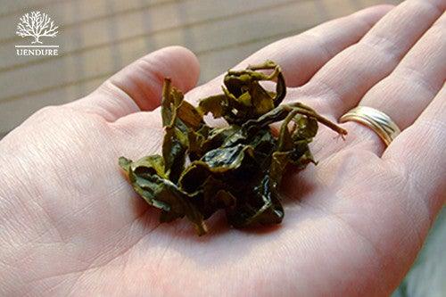 Oolong Tea - Chinese Tradition