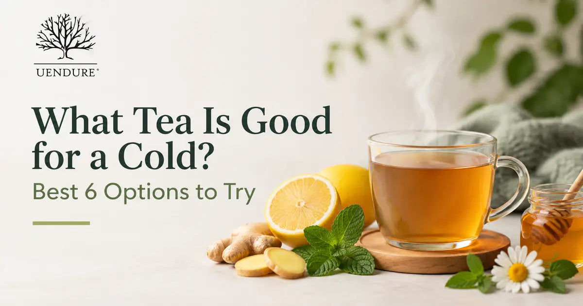 What Tea Is Good for a Cold? 6 Best Options to Try