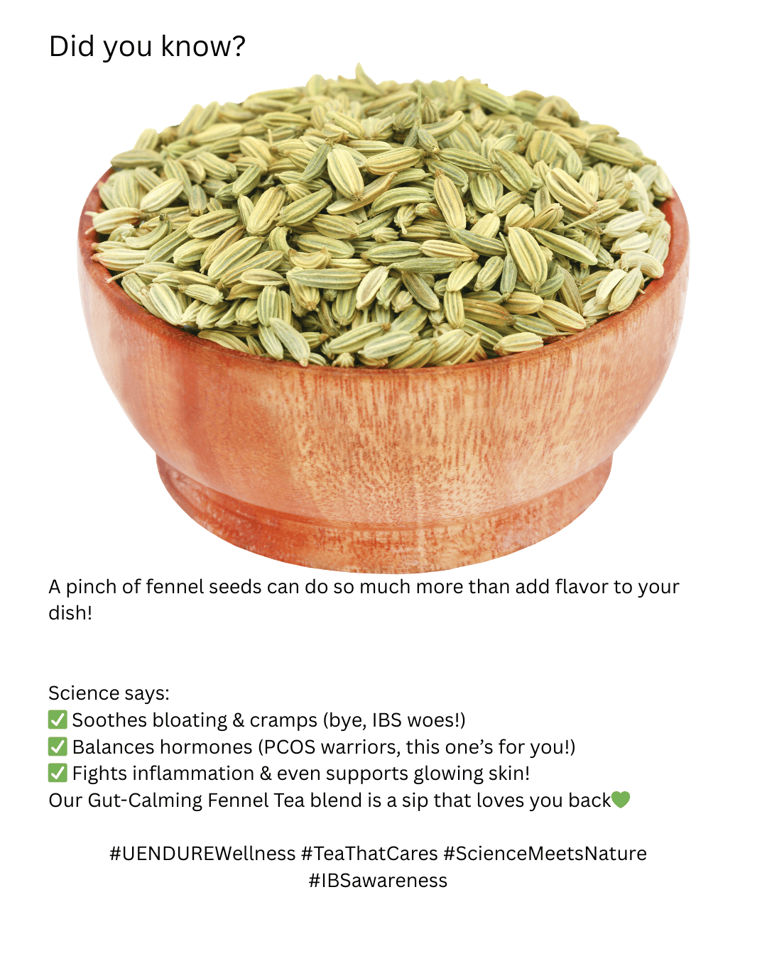 fennel seeds splat
