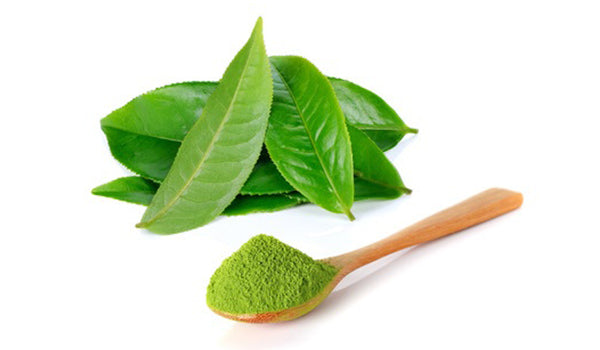 
                    
                      Organic Premium Choice Matcha Powder 50g / 1.75 oz
                    
                  