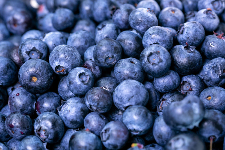 
                    
                      Label Blueberries
                    
                  