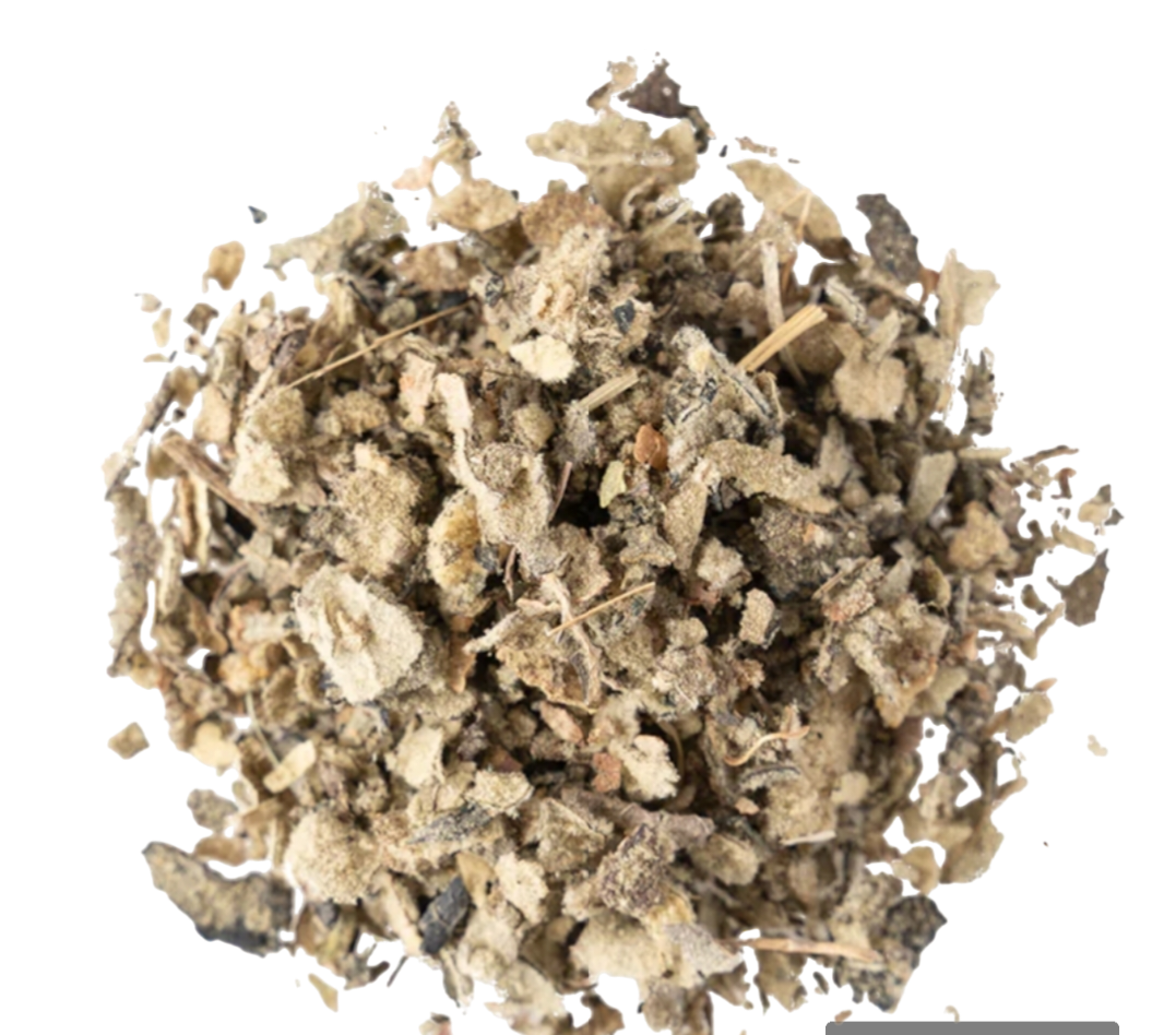 mullein leaf tea